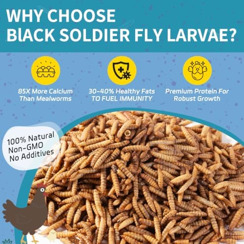 5LB Dried Black Soldier Fly Larvae for Chickens