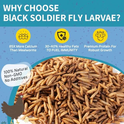 5LB Dried Black Soldier Fly Larvae for Chickens