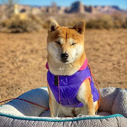 Gooby Sports Vest Dog Jacket, Purple, Large