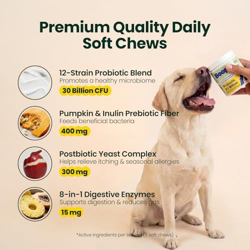 Probiotics for Dogs – 30 Billion CFU with Pre, Postbiotics & Digestive Enzymes – Supports Gut Health, Immunity, Loose Stools & Allergies – Filet Mignon Flavor – Vet Formulated – 60 Chews