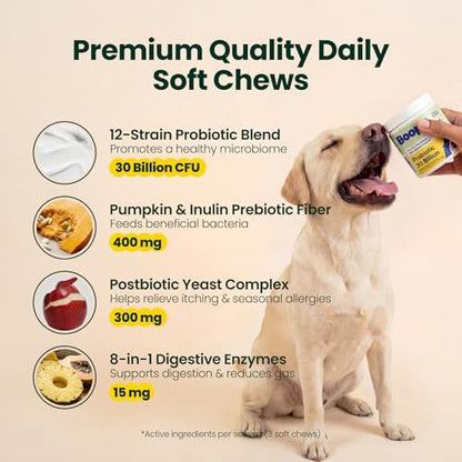 Probiotics for Dogs – 30 Billion CFU with Pre, Postbiotics & Digestive Enzymes – Supports Gut Health, Immunity, Loose Stools & Allergies – Filet Mignon Flavor – Vet Formulated – 60 Chews
