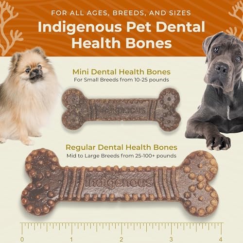 Indigenous Pet Dental Health Bones Regular – Peanut Butter (17 Ounce) | Grain-Free Dog Chews with Prebiotics & Omegas | Freshens Breath, Supports Digestive, Skin & Coat Health |