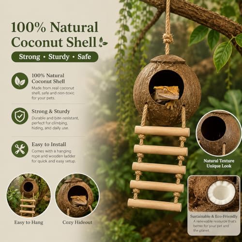 Crested Gecko Tank Accessories, Reptile Bridge and Plants with Coconut Shell Ladder Hideout, Natural Terrarium Decor for Lizard, Chameleon, Leopard Gecko, Snake, Hermit Crab and Tortoise (Group B)