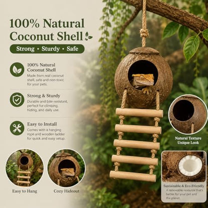 Crested Gecko Tank Accessories, Reptile Bridge and Plants with Coconut Shell Ladder Hideout, Natural Terrarium Decor for Lizard, Chameleon, Leopard Gecko, Snake, Hermit Crab and Tortoise (Group C)