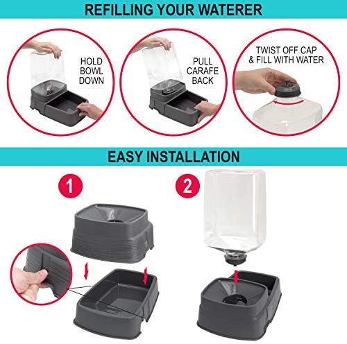 Sport Pet Gravity Feeder and Waterer, Small