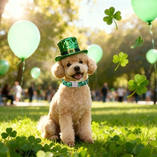 St. Patrick's Day Dog Collar, Lucky Clover Dog Collars, Adjustable Heavy Duty Irish Festive Pet Collar for Small Medium Large Dogs with Metal Buckle XS
