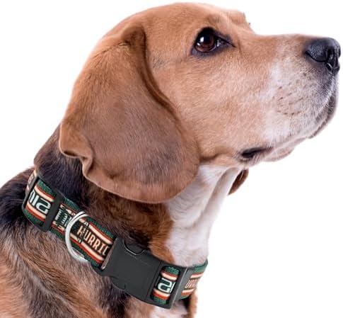 Pets First Collegiate PET Collar OLD VERSION Miami Hurricanes Dog Collar, Size Small. Best Sports Team Collar for Dogs & Cats. A Shiny & Colorful Dog & Cat Collar Licensed by The NCAA