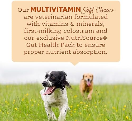 NutriSource AmpliFull Turkey Flavor Multivitamin Soft Chews for Dogs, Daily Supplement with Bovine Colostrum, Essential Vitamins & Minerals for Overall Health, 70 Chews (1 Pack)