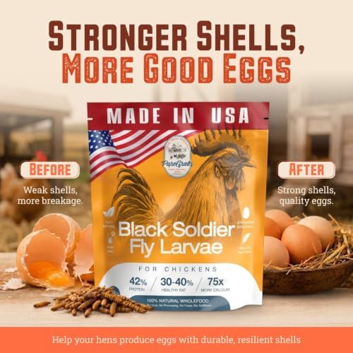 USA-Grown Dried Black Soldier Fly Larvae for Chickens, 5 lb