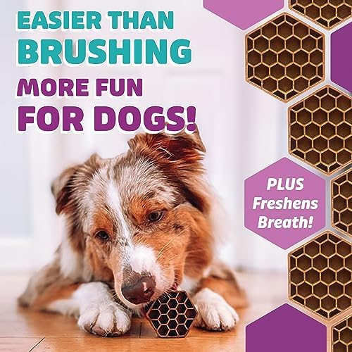 Yummy Combs Dog Dental Treats – Vet VOHC Approved – Delicious Chicken Protein – Removes Tartar with Cleaning Comb Shape – Dental Dog Treats for Small Dogs (36oz, 63 Count)