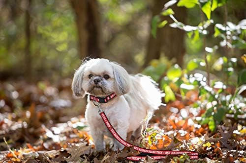 NCAA PET Leash, Medium, Texas Tech Red Raiders, Shiny & Colorful Leash for Dogs & Cats Licensed by The NCAA