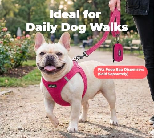 Best Pet Supplies Voyager Nylon Dog Leash - 6ft Fuchsia, Large