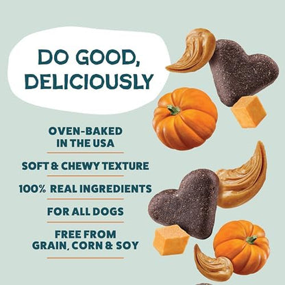 Shameless Pets Soft-Baked Dog Treats - Pumpkin Nut Partay, 1 lb