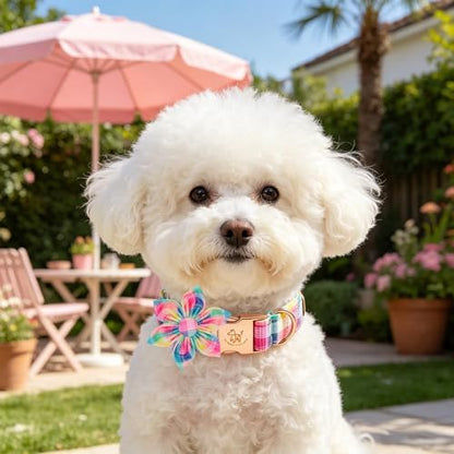 Elegant little tail Dog Collar with Flower, Spring Plaid Girl Pet Collars for Female Dogs Floral Pet Adjustable Puppy Collars with Flowers for Small Medium Large Dogs