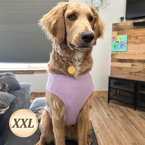 KYEESE 2Pack Waffle Dog Shirt for Medium Large Dogs Soft Dog Sweater