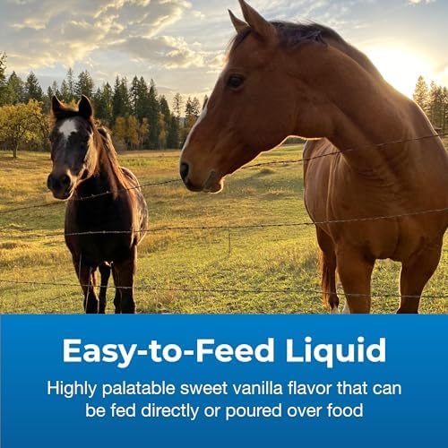 PetAg Dyne High Calorie Liquid Nutritional Supplement for Livestock - 32 oz - Includes Added Vitamins - Excellent for Underweight, Stressed, or Recovering Animals