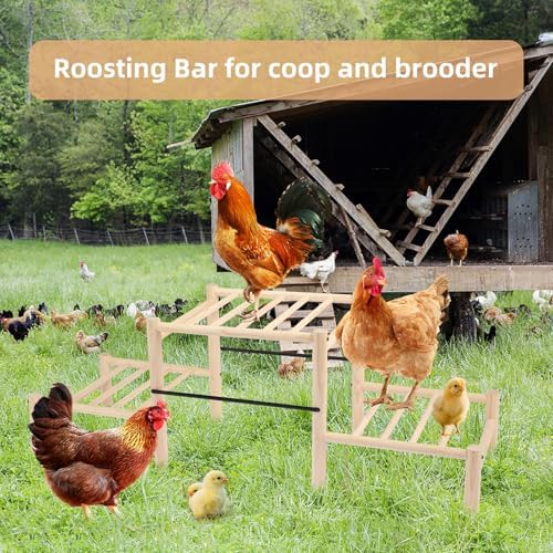 Chicken Perch, Natural Beech Wood Roosting Ladder for Poultry