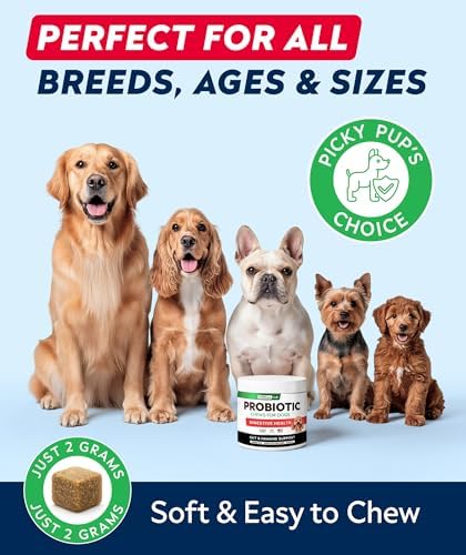 STRELLALAB Dog Probiotics Chews + Enzymes Gut Health Support