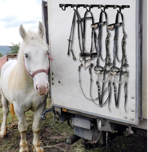 Zonon 2 Pcs Bridle Rack for Horse Wall Mount, Horse Tack Bulk, Five Hooks