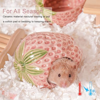Ceramic Hamster Hideout Strawberry Chew Proof Syrian Hide Cool Bed