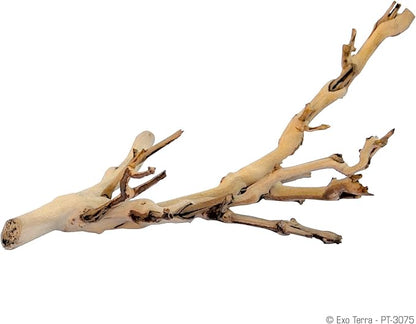 Exo Terra Forest Branch Small – Natural Wood Terrarium Decoration for Reptiles, Amphibians & Small Pets