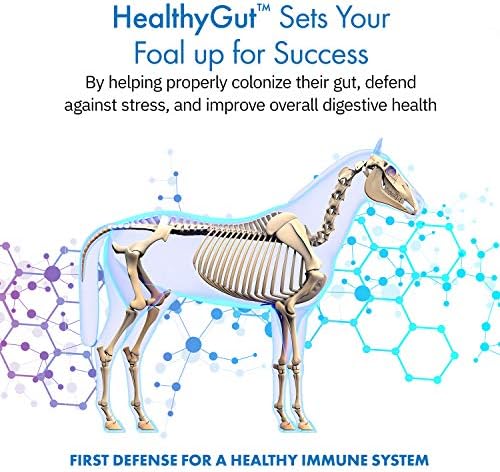 HealthyGut Foal Kit for Horses Dietary Supplement, All-Natural Formula (14 g)