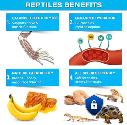 Gargeer 3.5oz Reptiles Electrolyte Drink Supplement with Fruits. USA Made