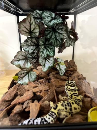 Woyrise Fake Reptile Plants for Terrarium, Tank Decor, Artificial Plant