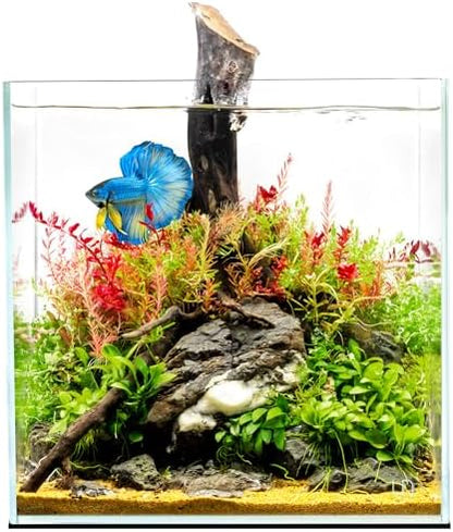 UNS Ultra Clear Rimless Tank - 16.9GAL | 64L - 15.74x15.74x15.74 | 40x40x40 CM, 6mm Glass Thickness, Leveling Mat Included - Low Iron, High Clarity Fish Tank w/ 45° Mitered Edge - [40C]