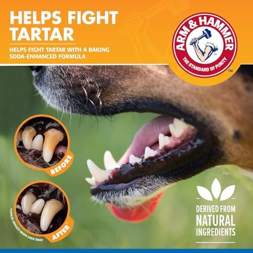 Arm & Hammer Tartar Control Dental Spray for Dogs, Mint, 4 Fl Oz, 2-Pack