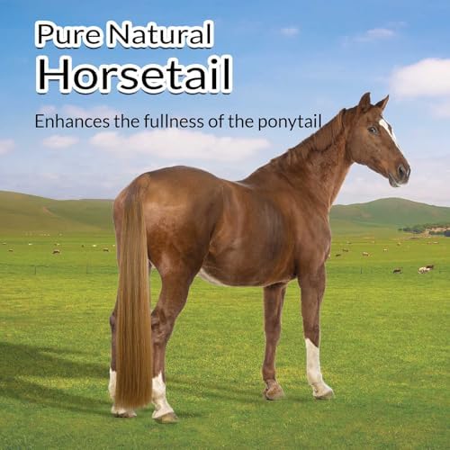 33.5 IN Long 1 LB Horse Tail Extension with Braided Horsehair Loop & Blunt Cut Bottom (Mixed Brown)