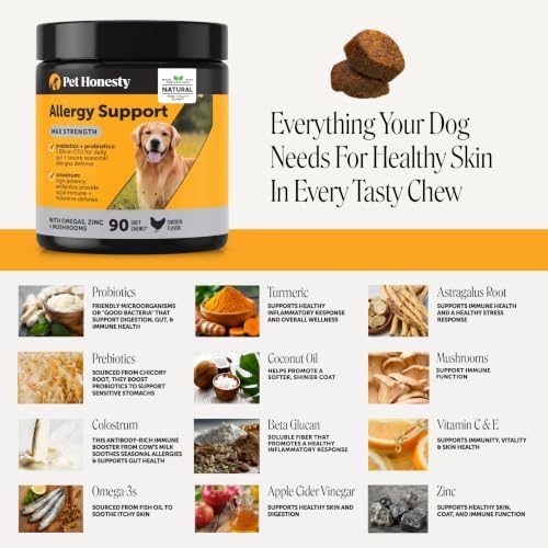 Pet Honesty Max Strength Dog Allergy Chews for Itch Relief, Chicken, 90ct