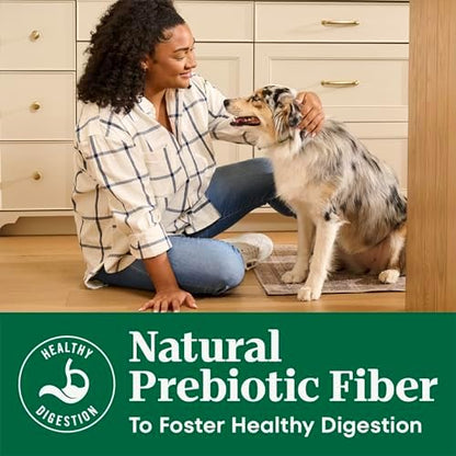 Nutro Natural Choice Adult Dry Dog Food, Beef & Brown Rice Recipe, 28 lb