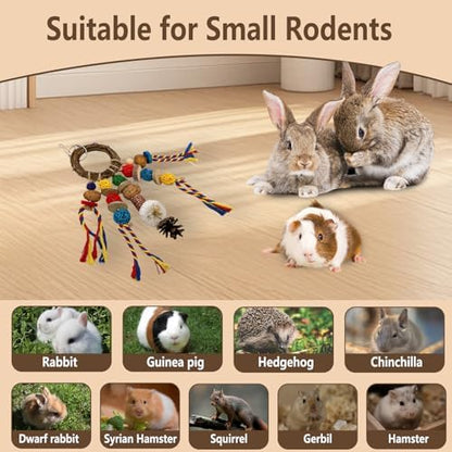 Bunny Chew Treat Toy for Teeth, Rabbit Cage Hanging Chew Toys and Rattan Ring with Snack,Natural Material Handwoven Chinchilla Treats Toys for Guinea Pig Gerbils Hamster Rat Teeth Grinding