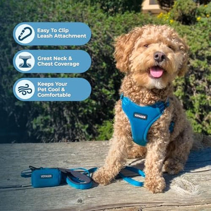 Best Pet Supplies Voyager Adjustable Step-in Flex Breathable Mesh Dog Harness for Small Medium Large Dogs Leash Set (Turquoise), M