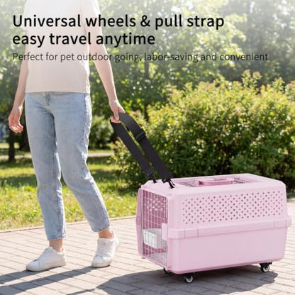 RIZZARI Hard-Sided Carrier: Opening Top Rolling Crate Ventilated 25 lbs