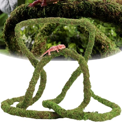 USMOLA Moss Vine for Reptiles, Bendable Climbing Vines Reptile Tank Accessories, Natural Moss Rope for Leopard Gecko, Lizard, Snake, Chameleon, Frog Terrarium Decor (Jungle Green, 6.5 FT)