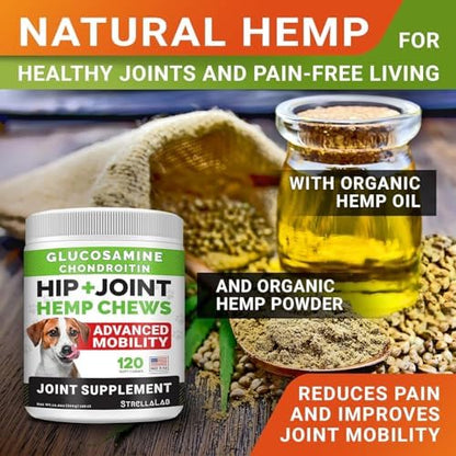 Bundle Hemp Chews + Calming for Dogs - Joint Support+Anxiety Relief