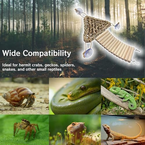 12-in-1 Hermit Crab Accessories Kit, 2026 New Kit for Bearded Dragon, Coconut Shell Hideout, Climbing Bridge, Hammock, Vines & Plants, Reptile Terrarium Decor for Gecko, Lizard, Amphibians