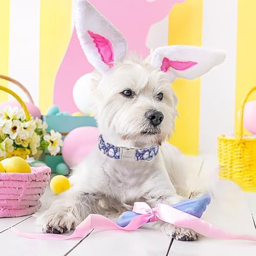 Easter Dog Collar, Cute Easter Bunny Eggs Pet Collar with Metal Buckle, Durable Adjustable Holiday Dog Collars for Small Medium Large Dogs XL