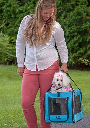 Pet Gear Carrier and Car Seat, Arctic Blue
