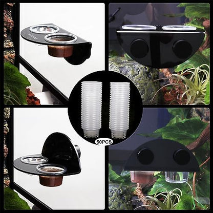 AIICIOO Gecko Feeder Ledge Cup 1oz Plastic Bowls 50 Pack Reptile Food Feeder Water Dish Ledge Accessories Bowls for Crested Gecko Lizards Chameleon Spiders Snake Frogs