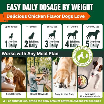 Dog Vitamins and Supplements 250 Chews - 26 in 1 Dog Multivitamin Soft Chews with Glucosamine, Chondroitin, Probiotics, Omega 3 - Hip & Joint, Skin & Coat, Immune Support - Chicken Flavor