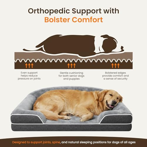 Orthopedic Dog Bed for Extra Large Dogs, 45"x30" XL Dog Couch Bed