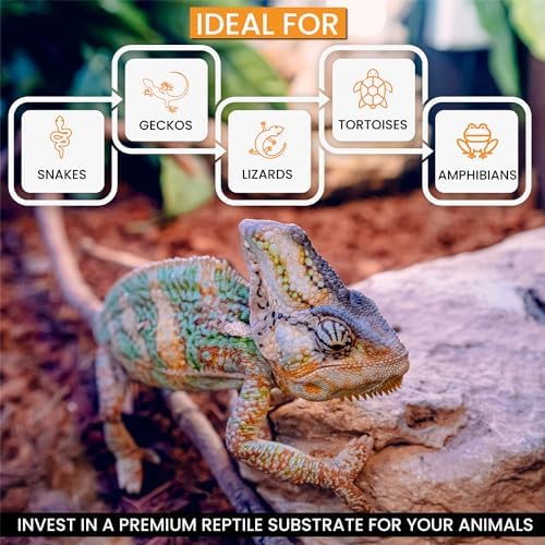 ReptiChip Reptile Substrate Coconut Chip Bedding 72 Quart Compressed Organic Coco Husk Block for Snake Habitat, Ball Python Terrarium, Turtle Tanks, Tortoise Enclosure (5 Pk)