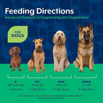 NaturVet Advanced Probiotics & Enzymes Dog Supplement - 120 Soft Chews
