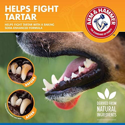 Arm & Hammer Tartar Control Dental Spray for Dogs, Mint, 4 Fl Oz