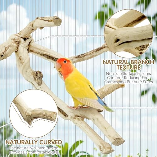 kathson Bird Perch Stand 10"-12" Nature Wood Stand Toy Parrot Cage Branch Paw Grinding Fork Parakeet Platform for Parakeets Cockatiels Conures Finches Love Birds（Small）
