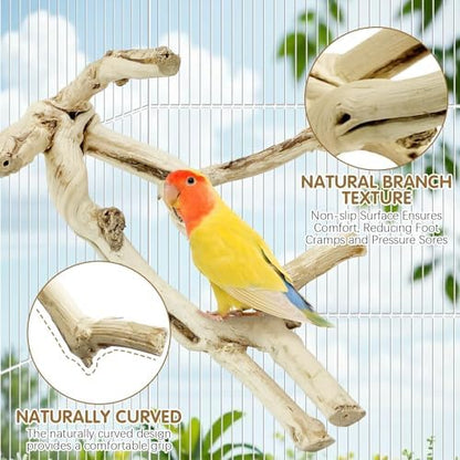 kathson Bird Perch Stand 10"-12" Nature Wood Stand Toy Parrot Cage Branch Paw Grinding Fork Parakeet Platform for Parakeets Cockatiels Conures Finches Love Birds（Small）