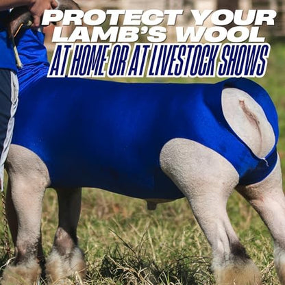 Show Pro Blue Spandex Lamb Tube for Show Sheep & Lamb - Show Livestock Supplies: Sheep Covers & Blankets